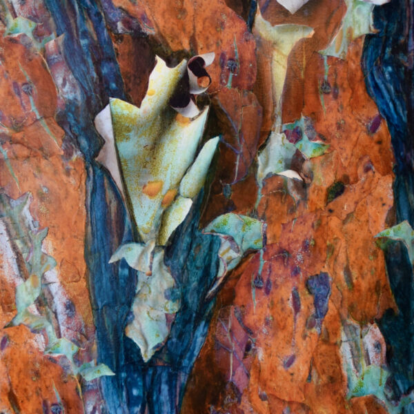 Judith-Rostenne-Angophora-II-Mixed-Media-40x30-1200