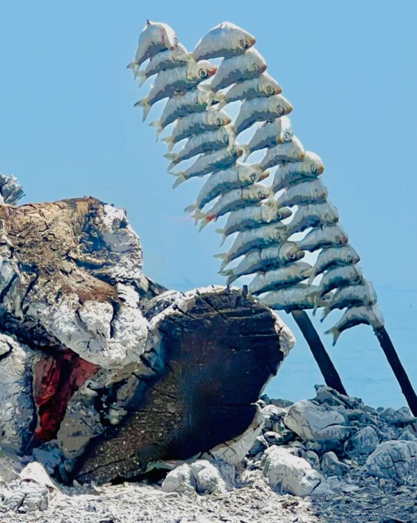 Barbie-Pearson-SizzlingSardineSkewers-Photography-16x20