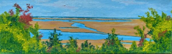 PXL_20250228_182206895