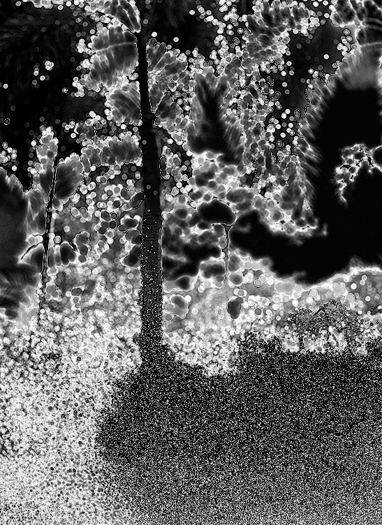 USA: Sprinkler at Night