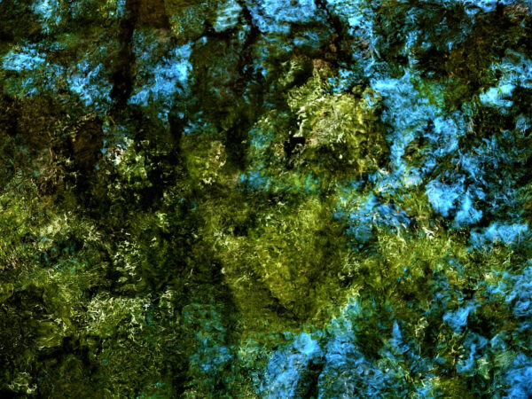 William-Quigley-In-Reflection-Photography18x22-200