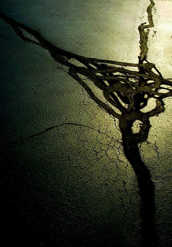 William-Quigley-There-is-a-Crack-in-Everything18x22-Photography