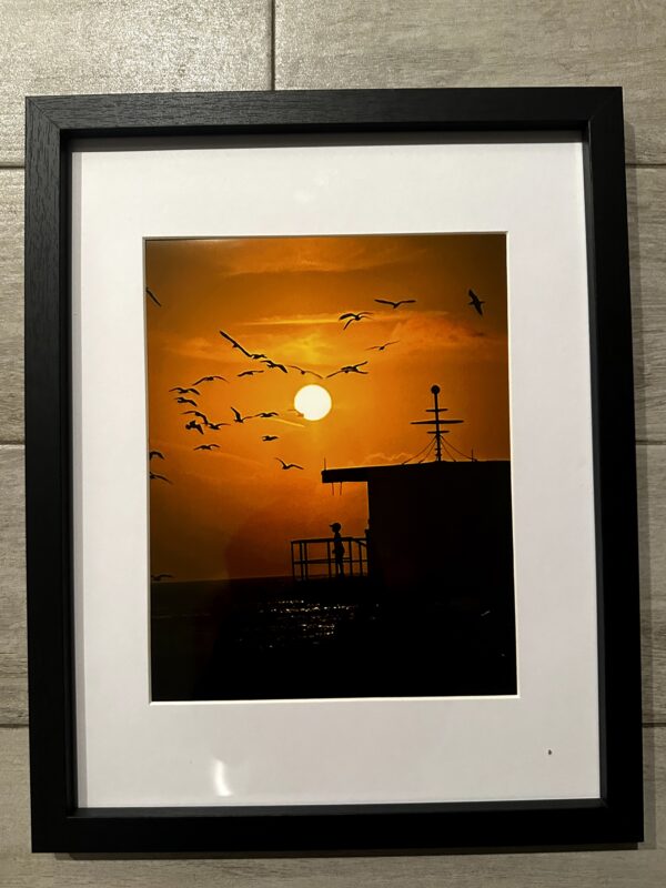 Danilo_Martins_EarlyBirds_Photography_12x14