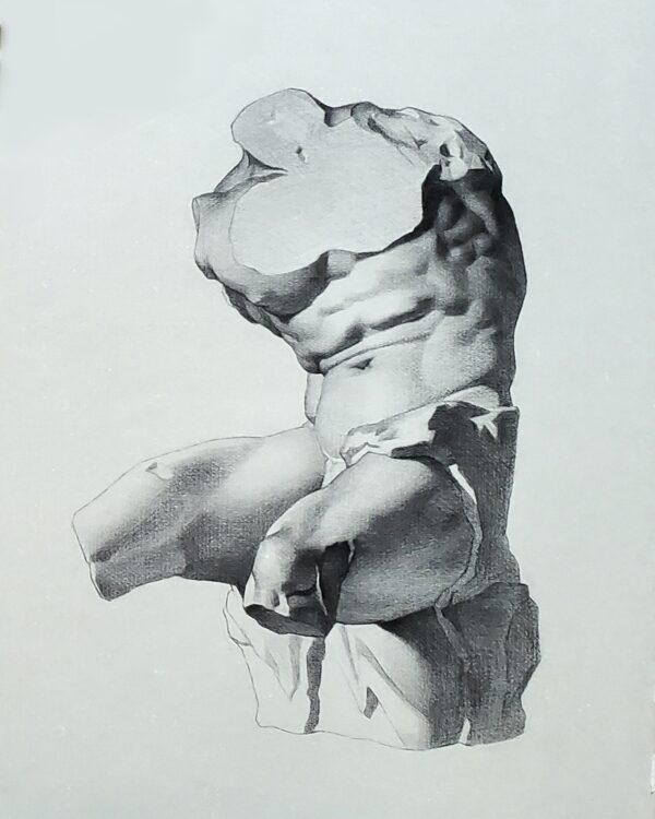 Joshua-Cooper-Belvedere-Torso-Charcoal-on-Paper-19X26X2