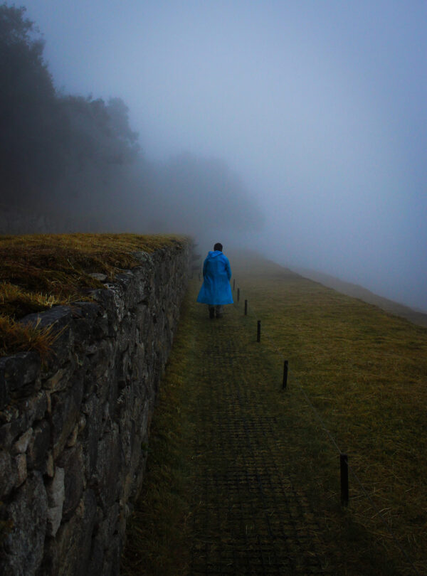 Youth-Art-Exhibit-2025-Lead-the-Way-Photography-13X19X0-scaled