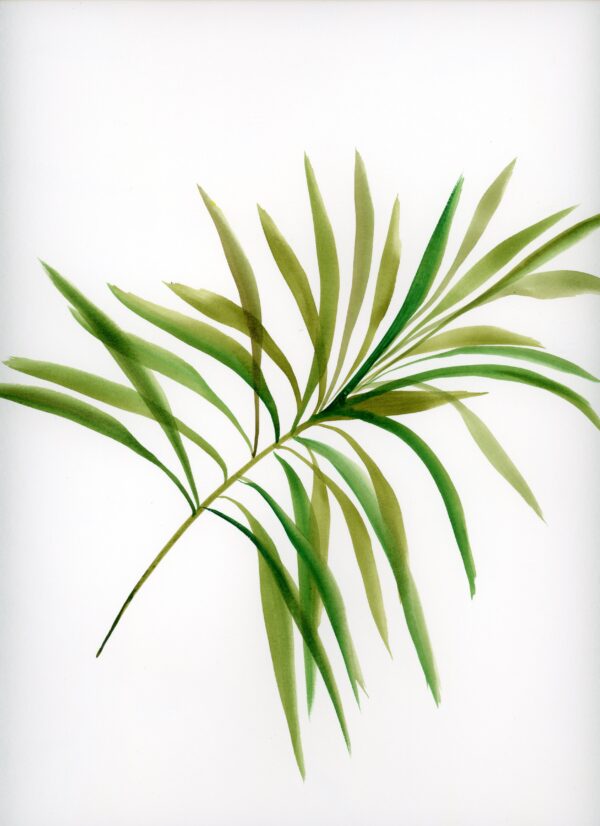 linda.landers.tropicali.watercolor.11x14